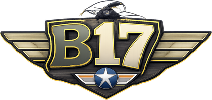 b17